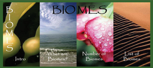 biomes header